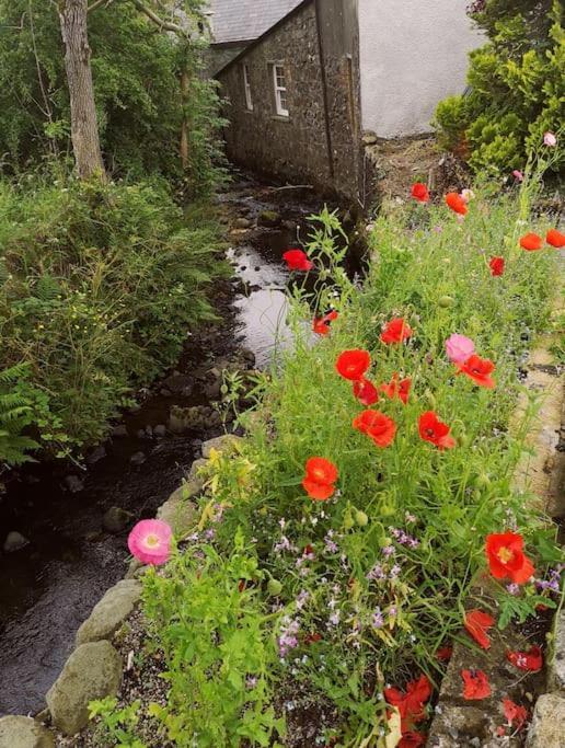 Riverside Cottage At Logwood Mill Ballyclare Exterior photo