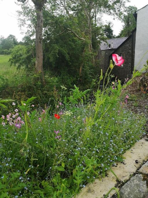 Riverside Cottage At Logwood Mill Ballyclare Exterior photo