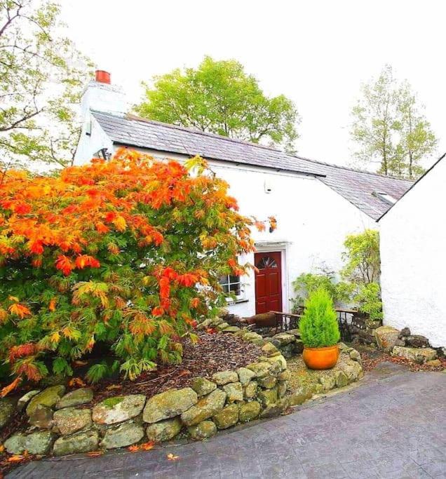 Riverside Cottage At Logwood Mill Ballyclare Exterior photo